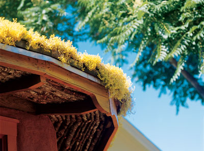 Recycled oak pallets, reclaimed wood, and waterproofing pond liner support sedum—with roots woven into wire mesh—on the roof of the solar sanctuary.